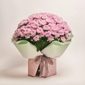 Bouquet of 51 Pink Chrysanthemums