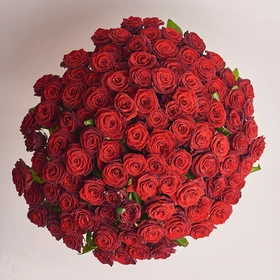 Букет 101 Красная Роза Гран При