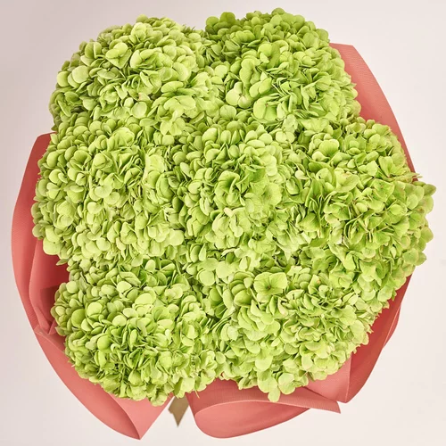 Изображение товара Букет 7 Зеленых Гортензий, упаковка: Каффин лососевый, артикул: 3585