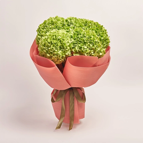 Product image Bouquet of 7 Green Hydrangeas, packaging: Kafin rust, vendor code: 3585