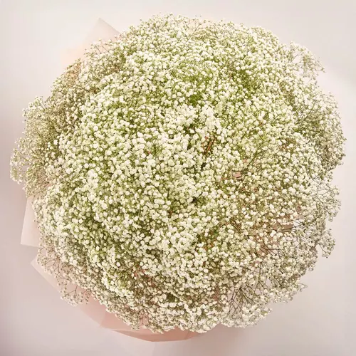 Product image Bouquet 51 White Gypsophilus, packaging: Kafin cream, vendor code: 3587