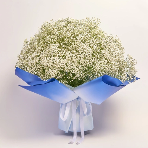 Bouquet 51 White Gypsophilus