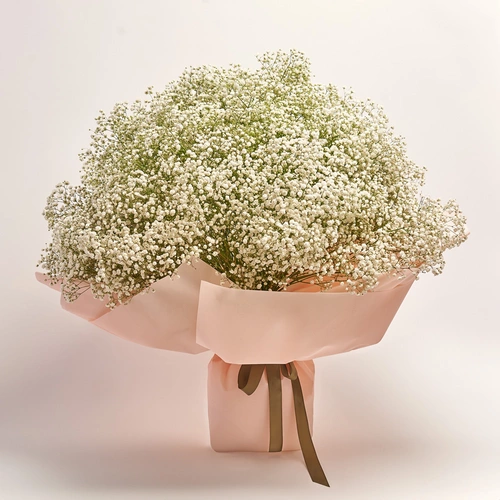 Product image Bouquet 51 White Gypsophilus, packaging: Kafin cream, vendor code: 3587