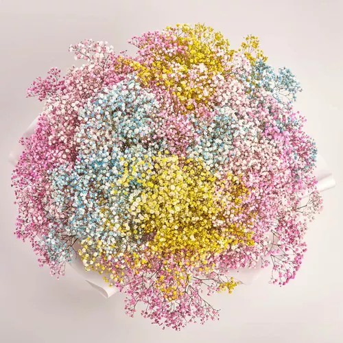 Зображення товару Букет 51 Різнокольорова Гіпсофіла, пакування: Біла, артикул: 3588