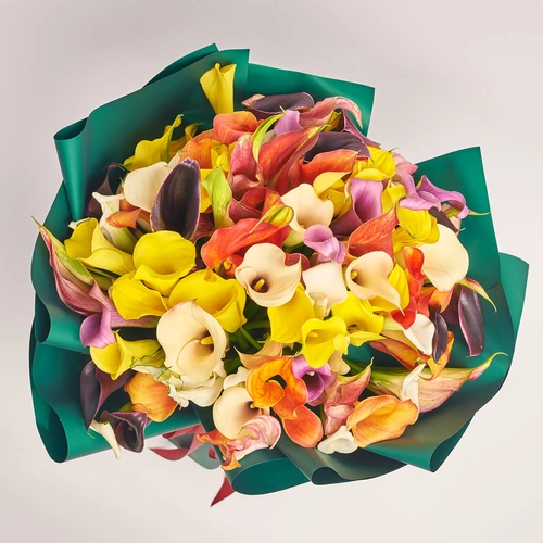 Product image Bouquet of 101 Callas mix, packaging: Green, vendor code: 3591