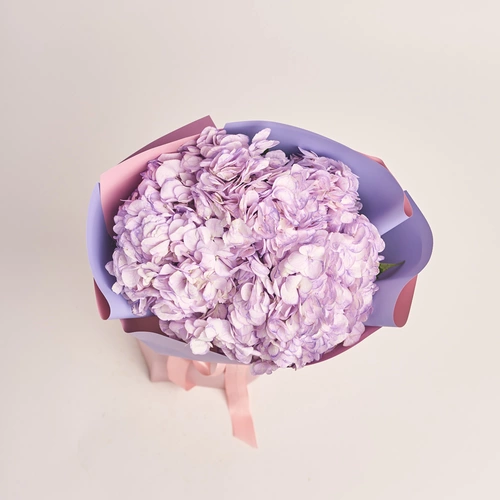 Зображення товару Букет 3 Лавандові Гортензії, пакування: Градієнт фіолетовий, артикул: 3592