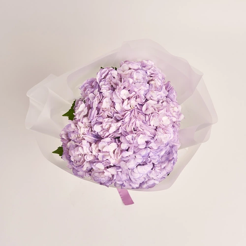 Изображение товара Букет 5 Лавандовых Гортензий, упаковка: Прозрачная, артикул: 3593