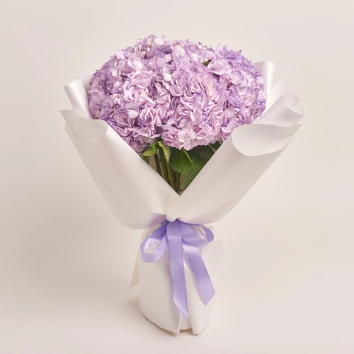 Product image Bouquet of 9 Lavender Hydrangeas, packaging: White, vendor code: 3594