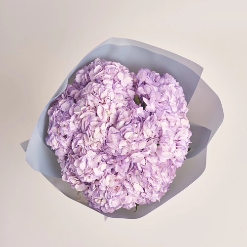 Product image Bouquet of 9 Lavender Hydrangeas, packaging: Gray, vendor code: 3594