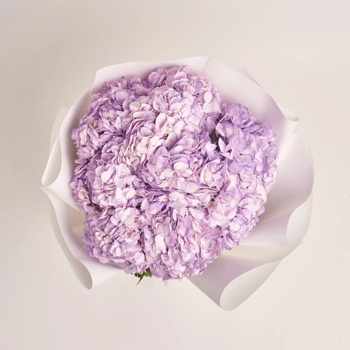 Product image Bouquet of 9 Lavender Hydrangeas, packaging: White, vendor code: 3594