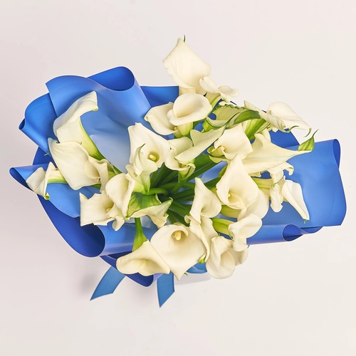Product image Bouquet of 25 White Callas, packaging: Gradiens blue, vendor code: 3596