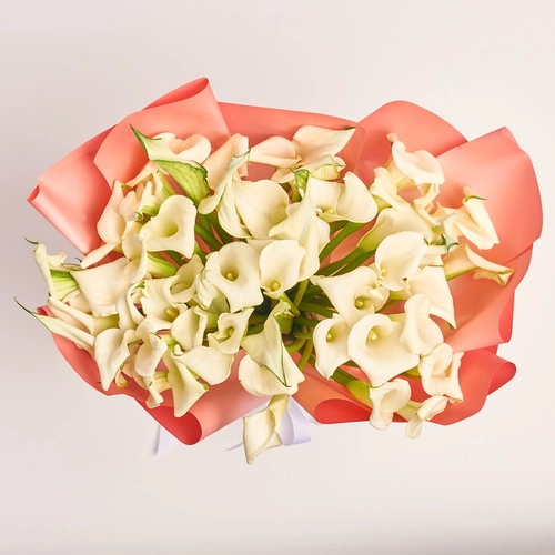 Product image Bouquet of 51 White Callas, packaging: Gradiens pink, vendor code: 3597