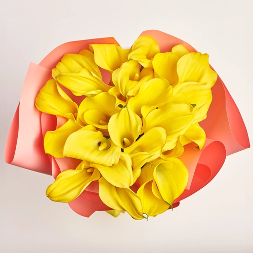 Product image Bouquet of 25 Yellow Callas, packaging: Gradiens pink, vendor code: 3598