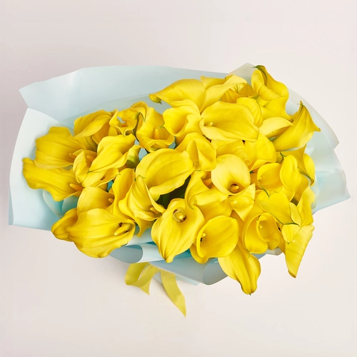 Product image Bouquet of 51 Yellow Callas, packaging: Blue, vendor code: 3599