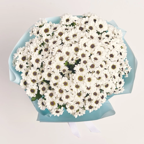 Product image Bouquet of 25 White Chrysanthemums Santinі, packaging: Blue, vendor code: 3600