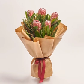 Bouquet of 5 Proteas