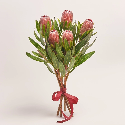Product image , vendor code: 