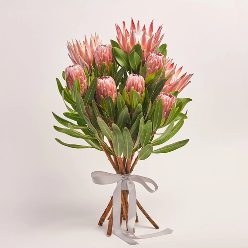 Product image Bouquet of 9 Proteas Mix, packaging: Without packaging, vendor code: 3602