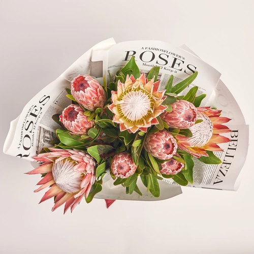 Product image Bouquet of 9 Proteas Mix, packaging: Newspaper, vendor code: 3602