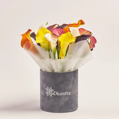Product image , vendor code: 