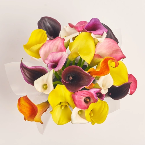 Product image Box of 25 Callas Mix, packaging: Purple, vendor code: 3604