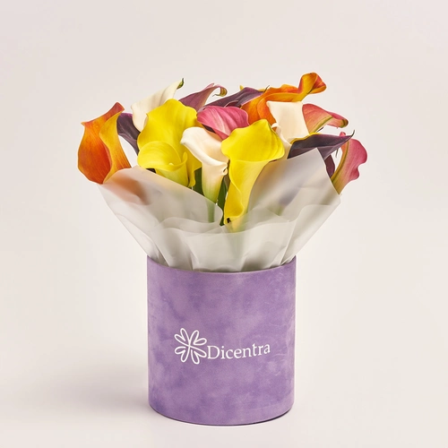 Product image Box of 25 Callas Mix, packaging: Purple, vendor code: 3604