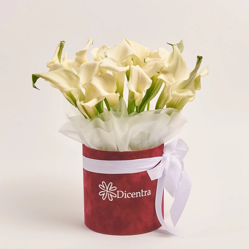 Product image Box of 25 White Callas, packaging: Red, vendor code: 3605