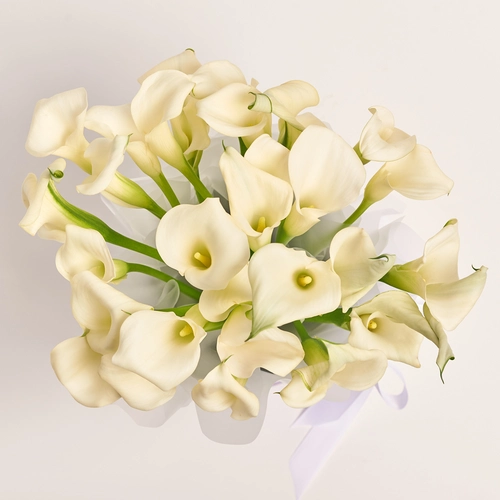 Product image Box of 25 White Callas, packaging: Red, vendor code: 3605