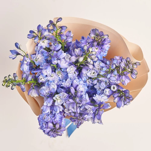 Product image Bouquet of 15 Light Blue Delphiniums, packaging: Kafin cream, vendor code: 3606