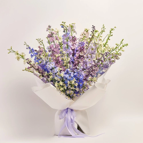 Product image Bouquet 51 Delphiniums mix, packaging: White, vendor code: 3607