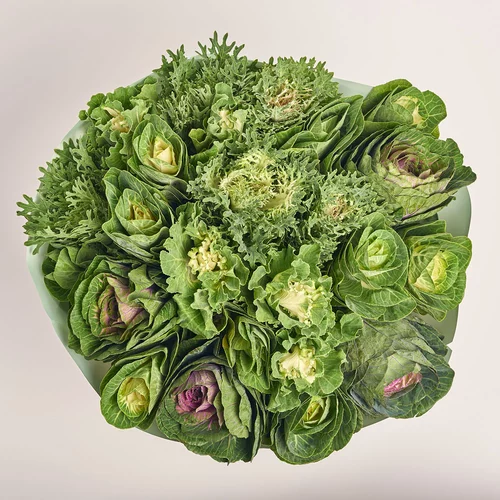 Product image Bouquet of 25 Brassik Mix, packaging: Gradiens tiffany, vendor code: 3609