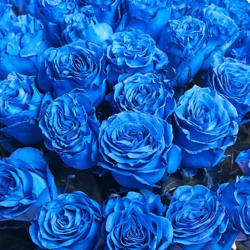 Product image Bouquet 51 Blue Rose, packaging: White, vendor code: 3610