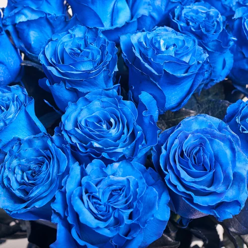 Product image Bouquet 25 Blue Rose, packaging: Newspaper, vendor code: 3611