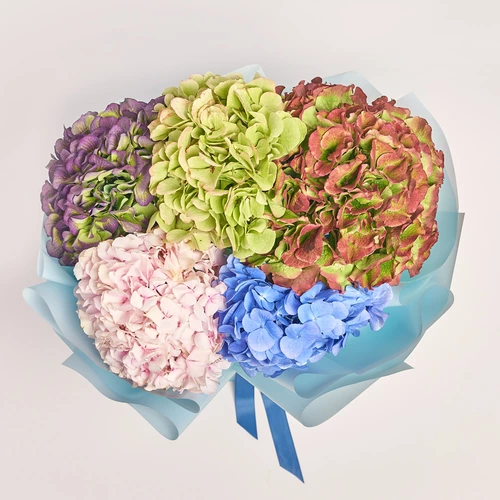 Product image Bouquet of 5 Hydrangeas Mix Blossom, packaging: Blue, vendor code: 3612