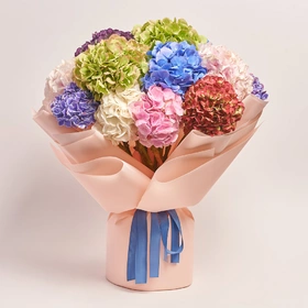 Bouquet of 15 Hydrangeas Mix Blossom