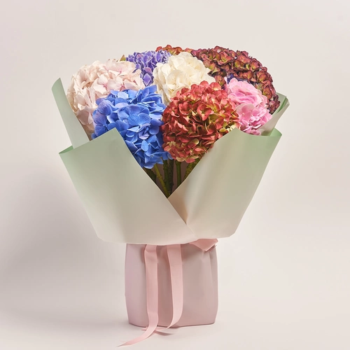 Product image Bouquet of 9 Hydrangeas Mix Blossom, packaging: Gradiens tiffany, vendor code: 3614
