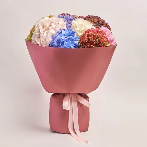 Product image Bouquet of 9 Hydrangeas Mix Blossom, packaging: Coral, vendor code: 3614