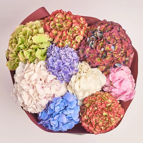 Product image Bouquet of 9 Hydrangeas Mix Blossom, packaging: Coral, vendor code: 3614