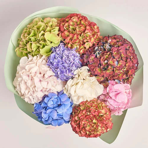 Product image Bouquet of 9 Hydrangeas Mix Blossom, packaging: Gradiens tiffany, vendor code: 3614