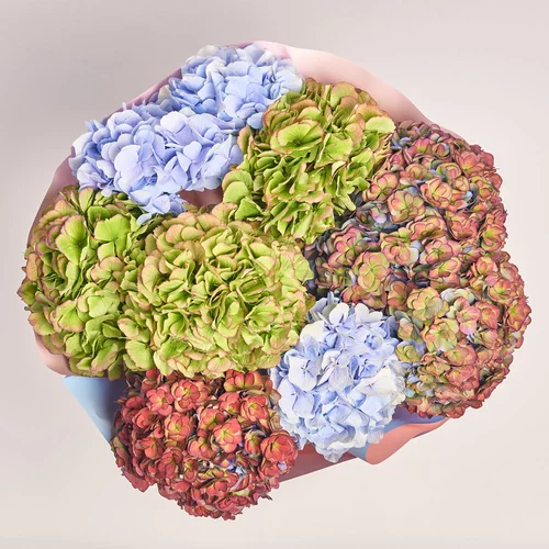 Product image Bouquet of 9 Hydrangeas Mix Magic, packaging: Gradiens light blue, vendor code: 3615