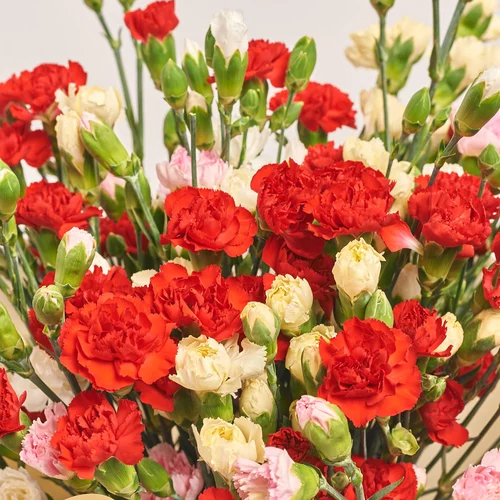 Product image Bouquet 35 Carnations Spray Mix, packaging: Gradiens pink, vendor code: 3617