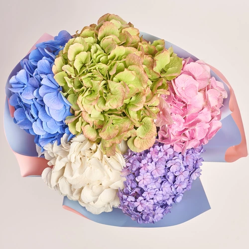 Product image Bouquet of 5 Hydrangeas Bloom, packaging: Gradiens light blue, vendor code: 3618