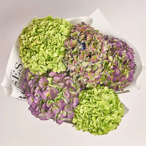 Product image Bouquet of 5 Hydrangeas Garden, packaging: Newspaper, vendor code: 3619