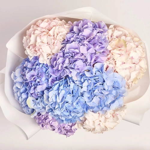 Product image Bouquet of 9 Hydrangeas Mix Elegant, packaging: White, vendor code: 3620