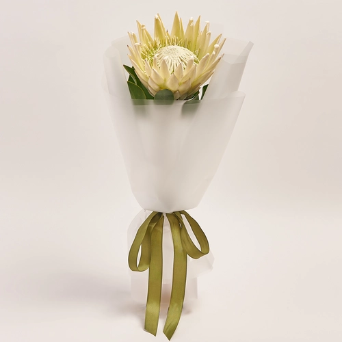 Product image Bouquet of 1 White Protea, packaging: Transparent, vendor code: 3622