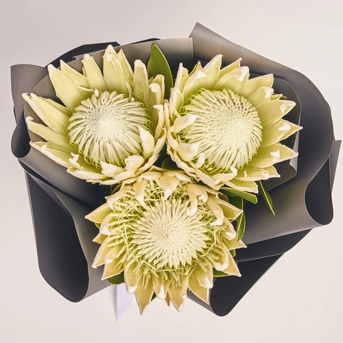 Зображення товару Букет 3 Білі Протеї, пакування: Графітова, артикул: 3623