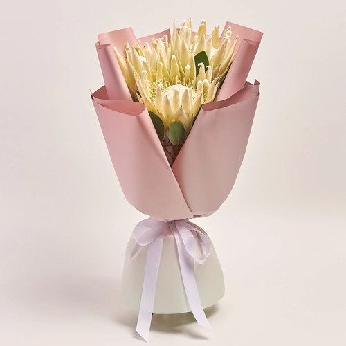 Product image Bouquet of 3 White Proteas, packaging: Gradiens pink, vendor code: 3623