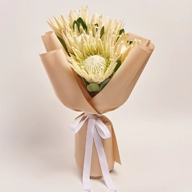 Bouquet of 5 White Proteas