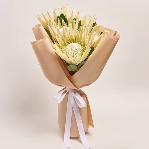 Product image Bouquet of 5 White Proteas, packaging: Kafin cream, vendor code: 3624