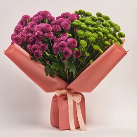 Bouquet of 25 Chrysanthemums Duo